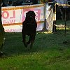DSCF2558