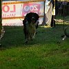 DSCF2559