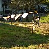 DSCF2561