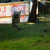 DSCF2562