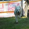 DSCF2564