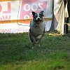 DSCF2566
