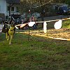 DSCF2567