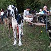 DSCF2568