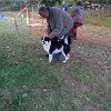 DSCF3283