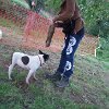 DSCF3287