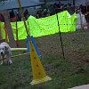 DSCF3296