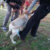 DSCF3297